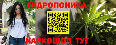 амф Обь